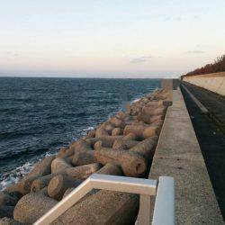 貝塚タチウオ爆風の巻…