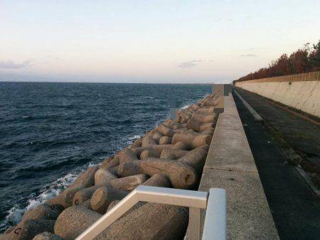 貝塚タチウオ爆風の巻…