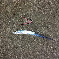 エギング＆アジング