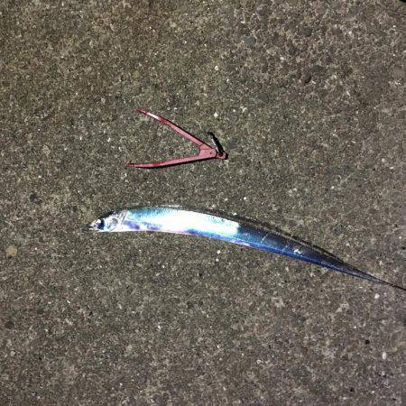 エギング＆アジング