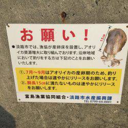 どちゃ濁りのエギング