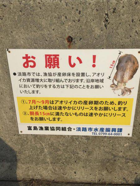 どちゃ濁りのエギング