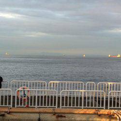 久々の海釣り公園での朝練5:00-6:30