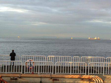 久々の海釣り公園での朝練5:00-6:30