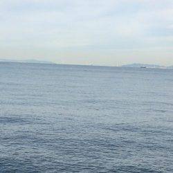 マイポイントで朝練