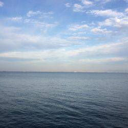 マイポイントで刀狩り