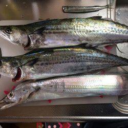 沖堤防で青物狙い