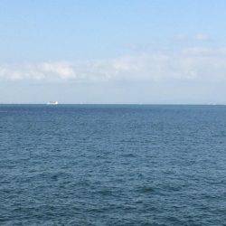 マイポイントで朝練