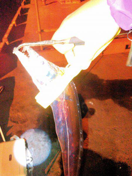 タチウオ&アジング