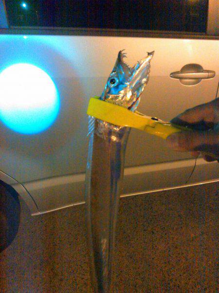 アジングのちタチウオ