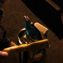 サバ釣れました