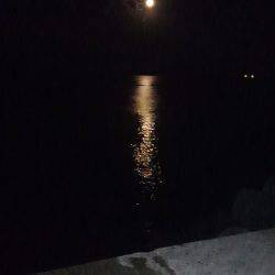 タチウオワインド