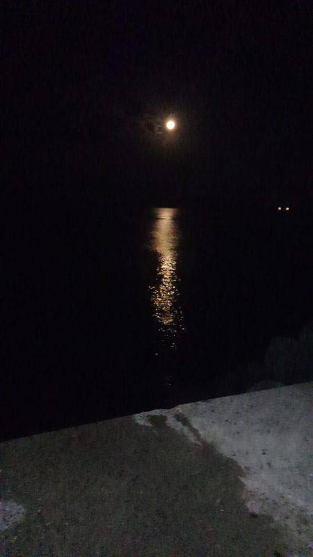 タチウオワインド