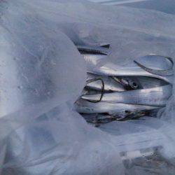 だめだめでしたー