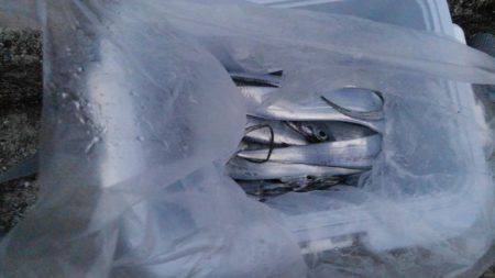 だめだめでしたー