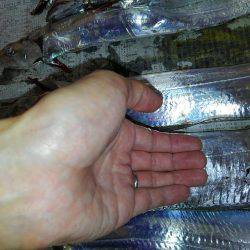 F4.5来た！そして、タチウオ18匹♪