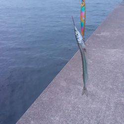 イシモチがお相手してくれました。