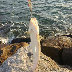 たかがフックされどフック