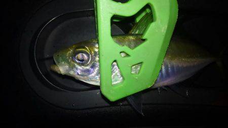 夕食アジンガー