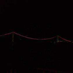 タチウオ好調ですが