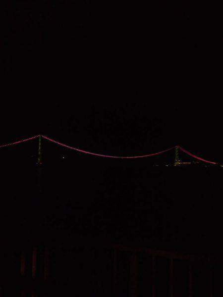 タチウオ好調ですが