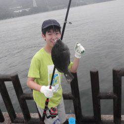 20cmのイワシが釣れます