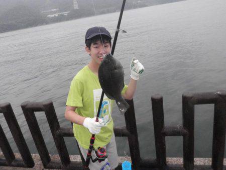 20cmのイワシが釣れます