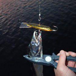 ベビーウエイトルアーｄｅ太刀魚！