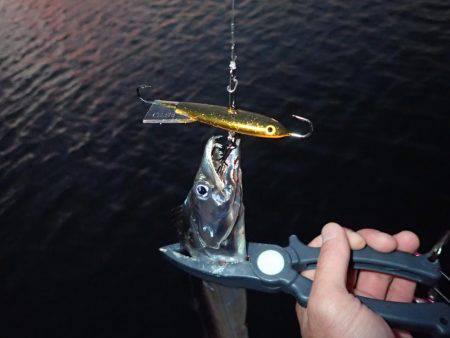 ベビーウエイトルアーｄｅ太刀魚！