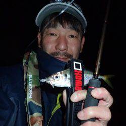 爆風アジング！