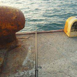 太刀魚も終わり・・