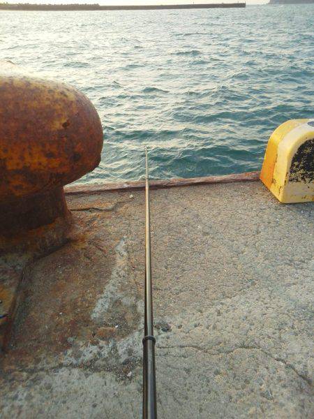 太刀魚も終わり・・