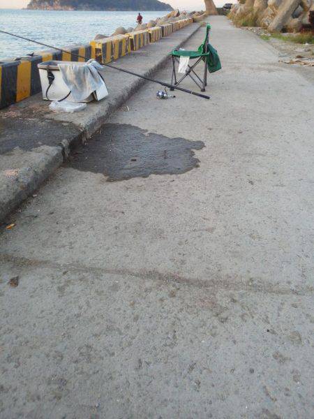 太刀魚も終わり・・pt2