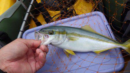 ジギング、エギング、タイラバなどなど