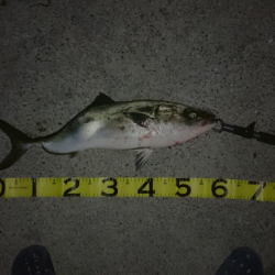 トップで寄せてワインドで