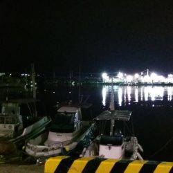 泉南中アジ調査でランガン