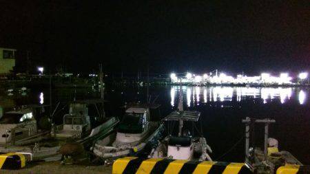 泉南中アジ調査でランガン