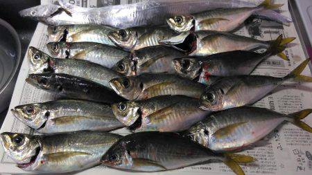 先週のアジ追跡調査に続き泉南方面ランガン