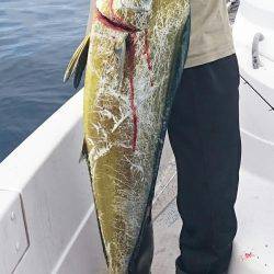 ティップランからのジギング