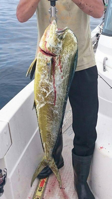 ティップランからのジギング