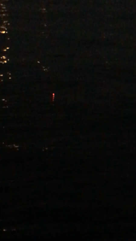 タチウオ激しぶ