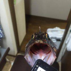 ３時間遊べたよ