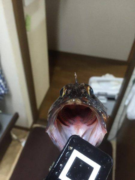 ３時間遊べたよ