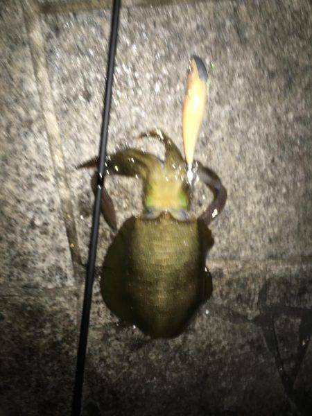 百海サーフで…