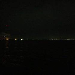 ワインド&ロックフィッシュ