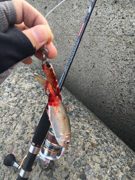 未知との遭遇。笑