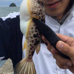 舞鶴2漁港、渋すぎて参った(初投稿)