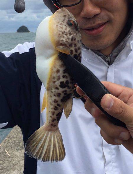 舞鶴2漁港、渋すぎて参った(初投稿)