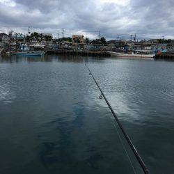 のんびりハゼ釣りwith親父