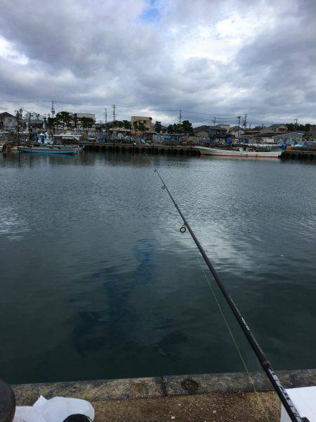 のんびりハゼ釣りwith親父